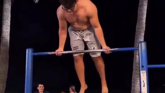 Пузатый турникмен
Пузатый турникмен