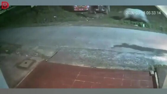 
        Пробежка обернулась паникой: мужчине пришлось спасаться бегством    