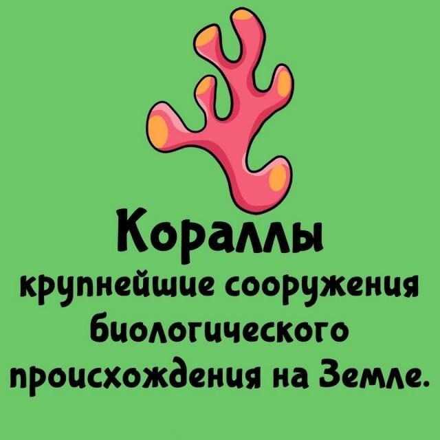 Интересные факты на все случаи жизни