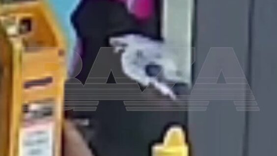 
        Трансы* обокрали российского туриста в&nbsp;Таиланде    