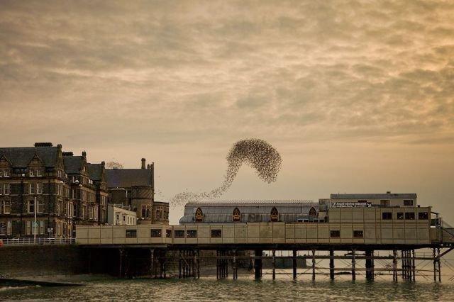 Подборка прикольных фото №3907