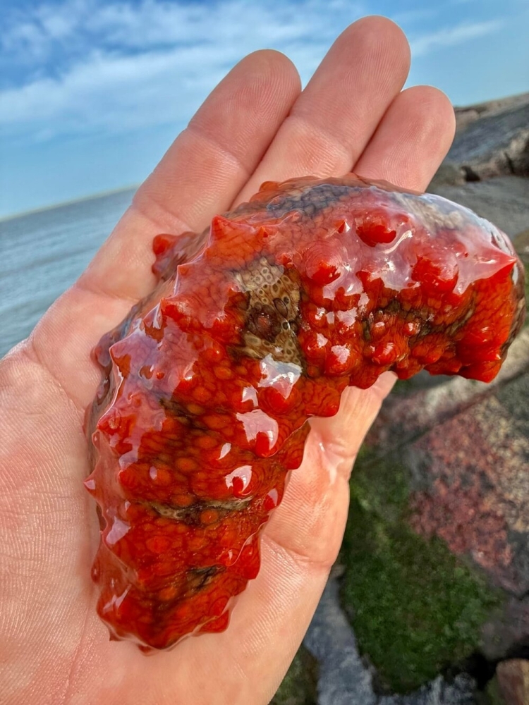 25 фотографий, после просмотра которых захочется купить палатку и уехать в лес
25 фотографий, после просмотра которых захочется купить палатку и уехать в лес