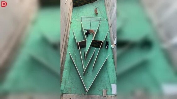 
        Когда обед превращается в&nbsp;игру    