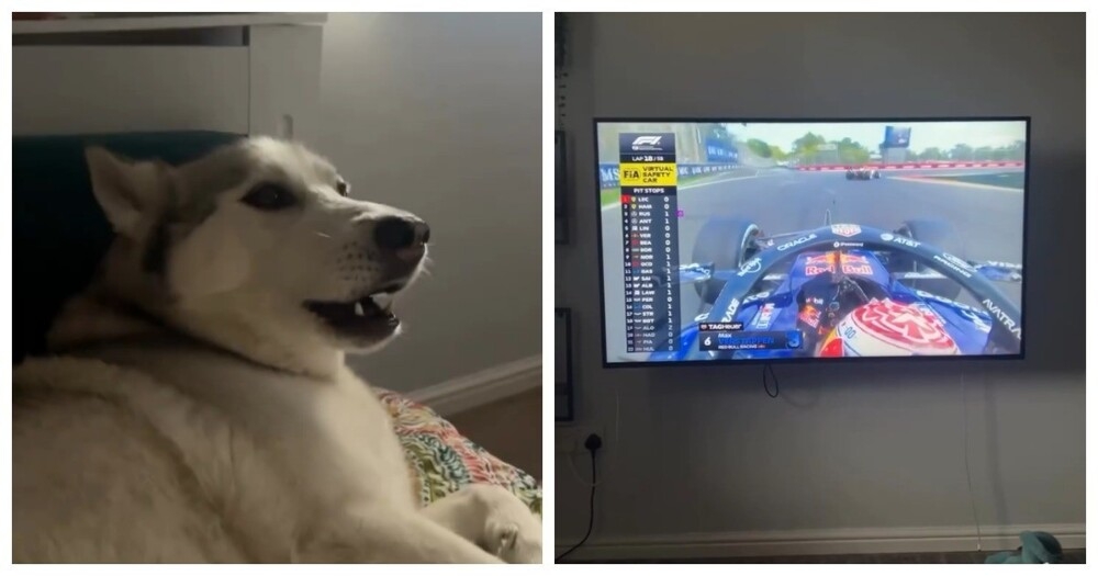 
        Звуки гоночного автомобиля    