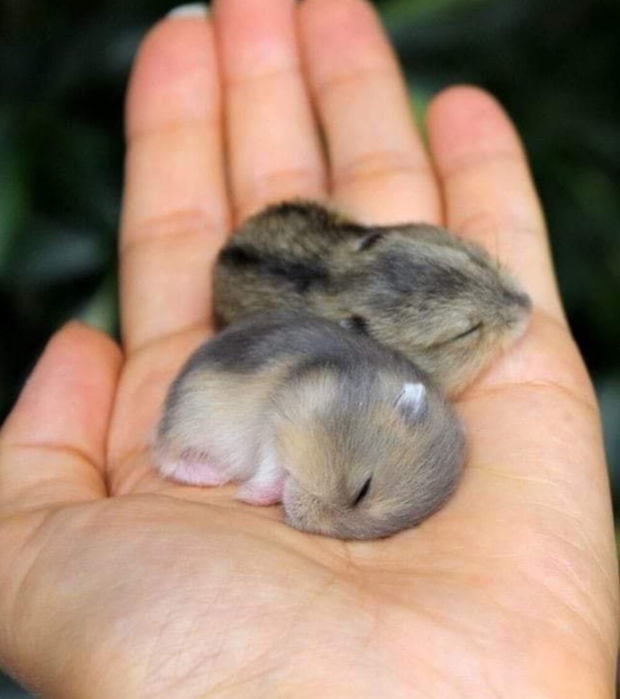 20+ моделей, фотогеничности которых можно только позавидовать
20+ моделей, фотогеничности которых можно только позавидовать