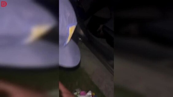 
        Сверчки в&nbsp;салоне: очень плохая идея    