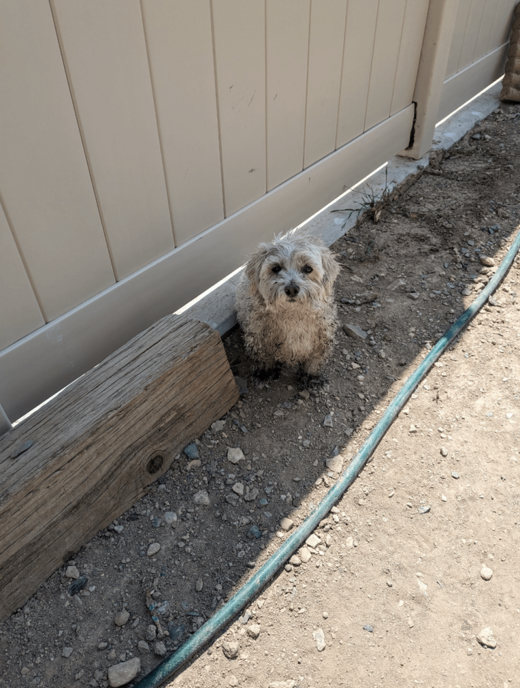 
        25&nbsp;фотороботов прелестных подозреваемых в&nbsp;совершении преступлений по&nbsp;уничтожению домашнего порядка    