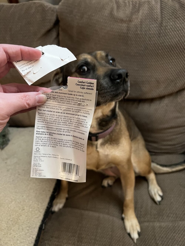 
        25&nbsp;фотороботов прелестных подозреваемых в&nbsp;совершении преступлений по&nbsp;уничтожению домашнего порядка    