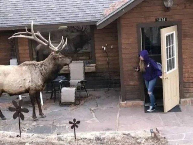 Подборка прикольных фото №3919