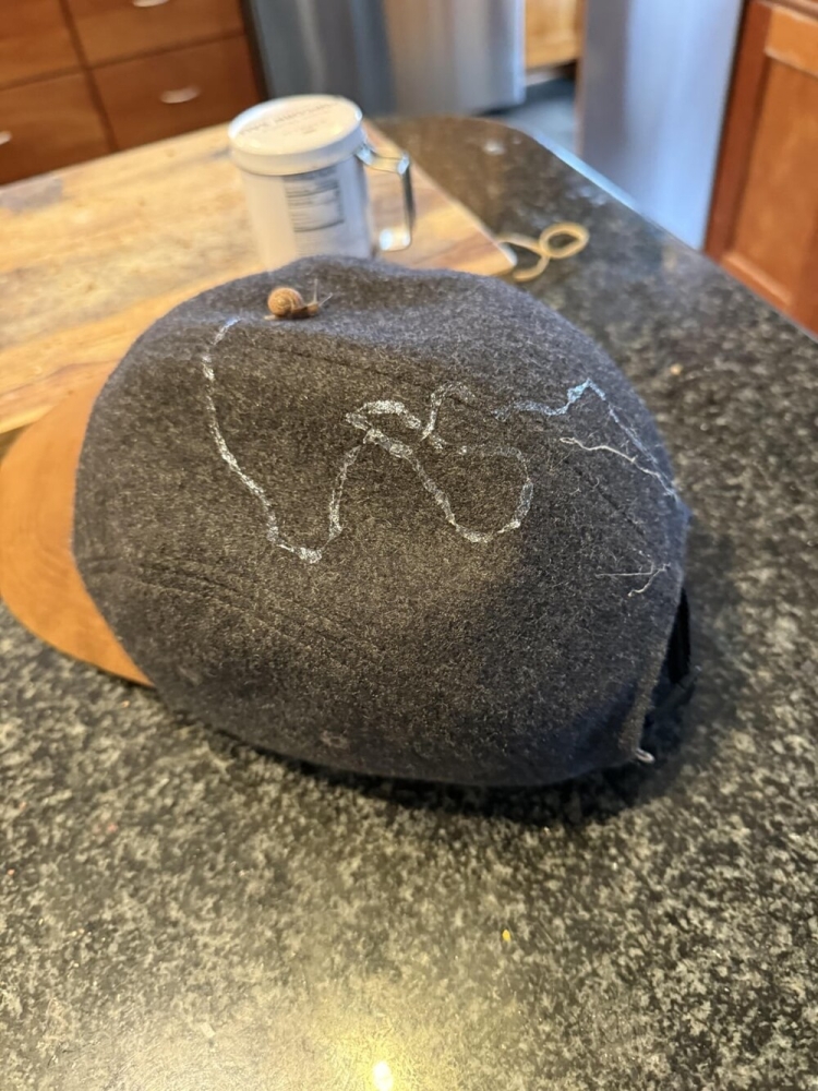 
        30&nbsp;кадров, которые заставят вас&nbsp;протереть глаза    