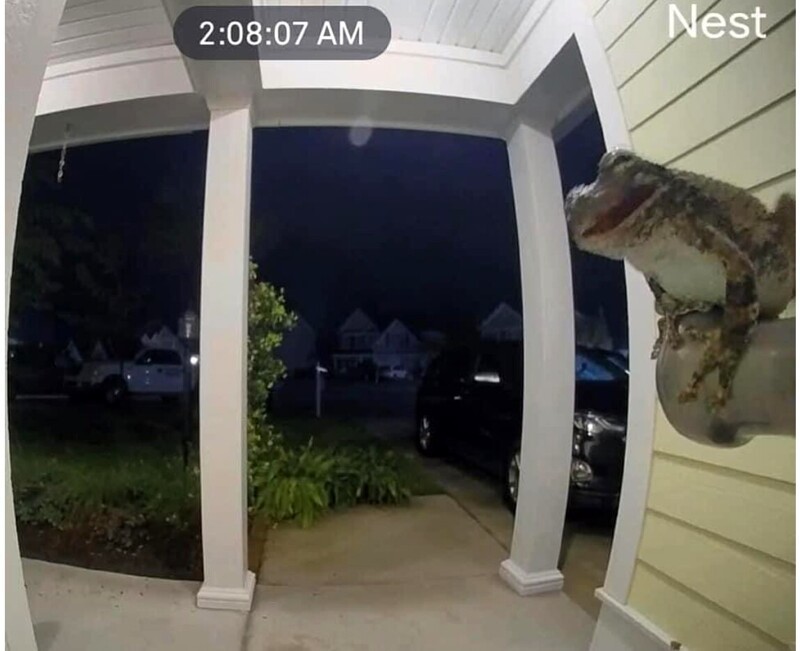 20+ моделей, фотогеничности которых можно только позавидовать
20+ моделей, фотогеничности которых можно только позавидовать