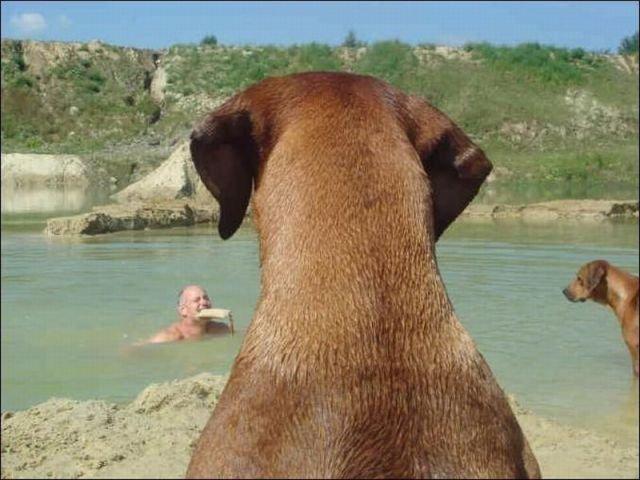 Подборка прикольных фото №3911