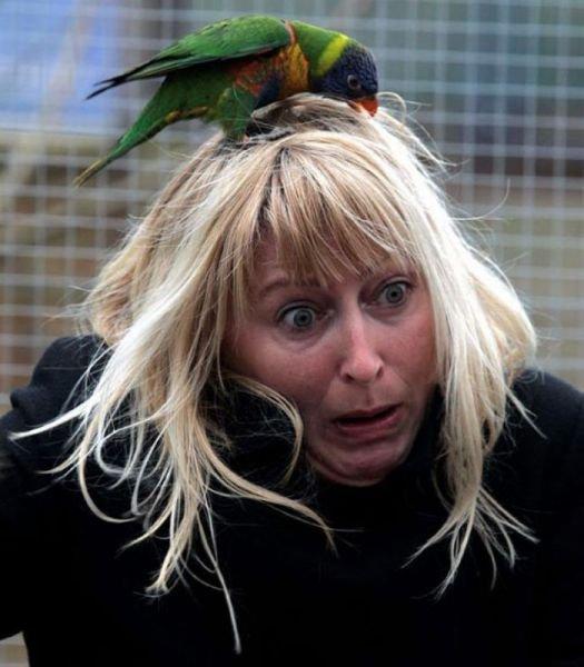 Подборка прикольных фото №3909