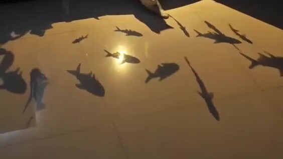 Необычный способ занять пушистого
Необычный способ занять пушистого