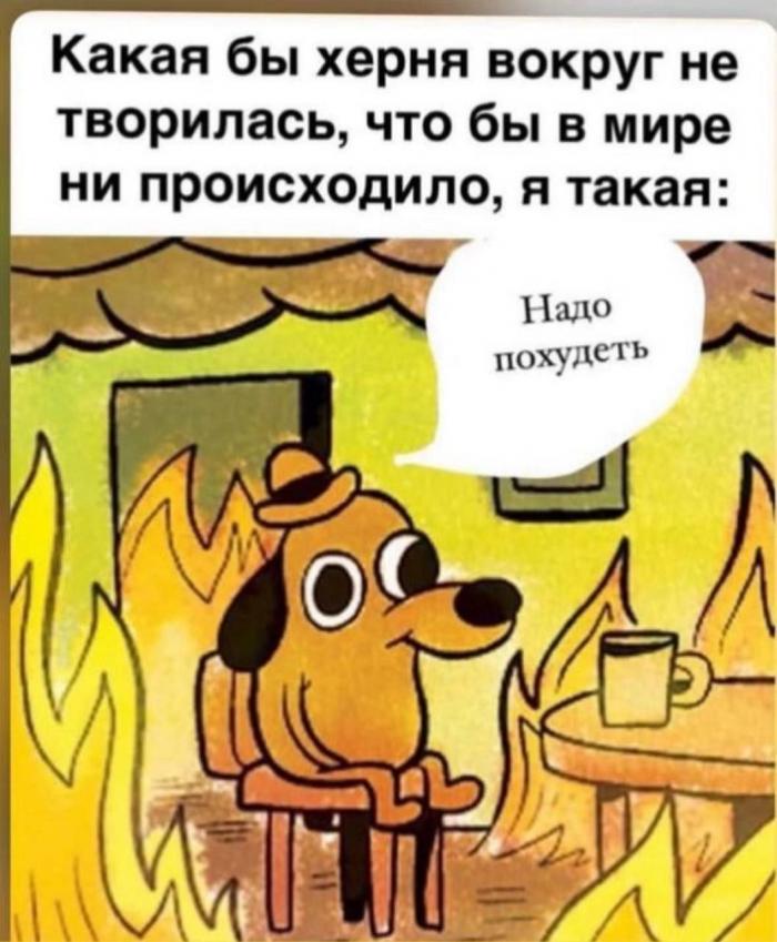 Подборка прикольных фото №3917