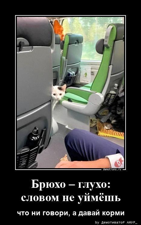 
			Демотиваторы №3790 (20 фото)