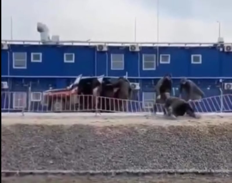 
        Мигранты из&nbsp;Казахстана устроили массовую драку с&nbsp;охранной комплекса    