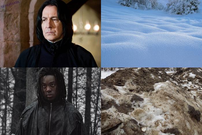 Подборка прикольных фото №3917