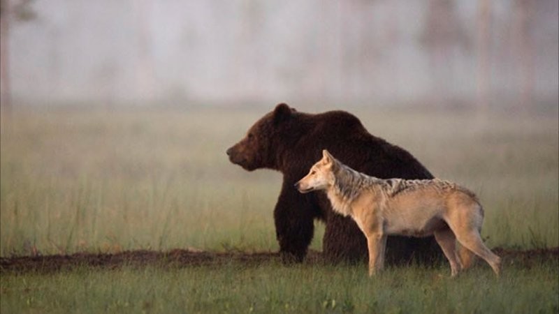 
        25&nbsp;вдохновляющих кадров, от&nbsp;которых перехватывает дыхание    