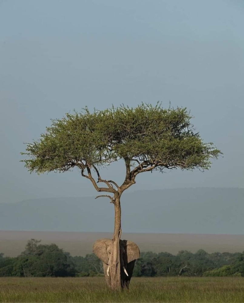 
        25&nbsp;вдохновляющих кадров, от&nbsp;которых перехватывает дыхание    