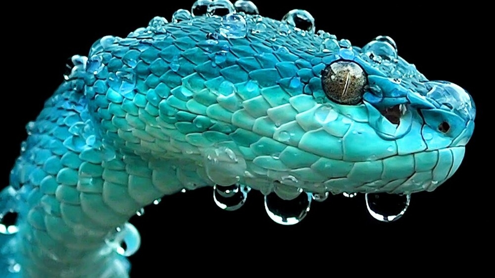 
        25&nbsp;вдохновляющих кадров, от&nbsp;которых перехватывает дыхание    