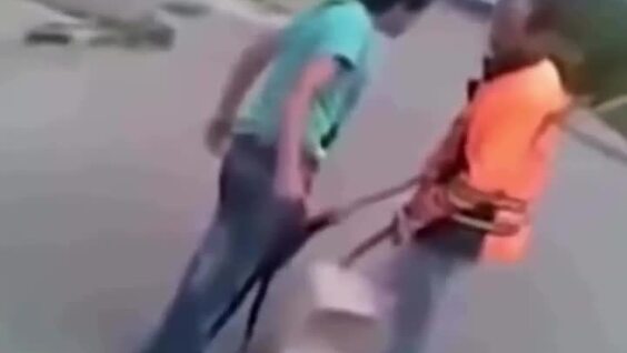 Терпеливый дворник дал отпор агрессивному подростку
Терпеливый дворник дал отпор агрессивному подростку