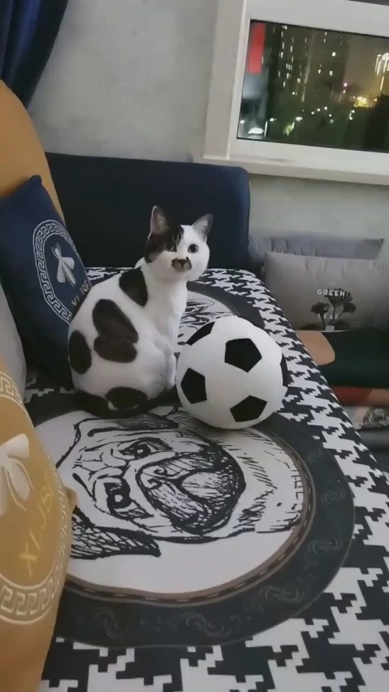 20+ моделей, фотогеничности которых можно только позавидовать
20+ моделей, фотогеничности которых можно только позавидовать