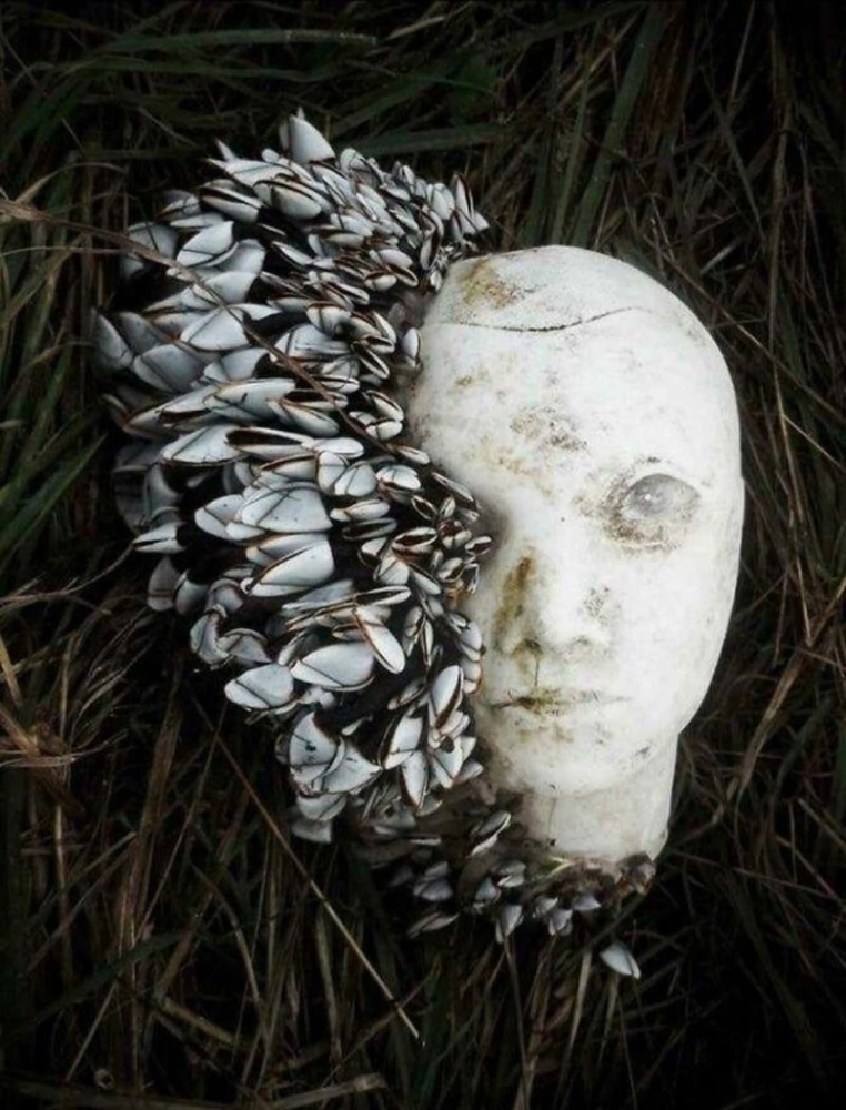 
        30&nbsp;кадров, которые заставят вас&nbsp;протереть глаза    