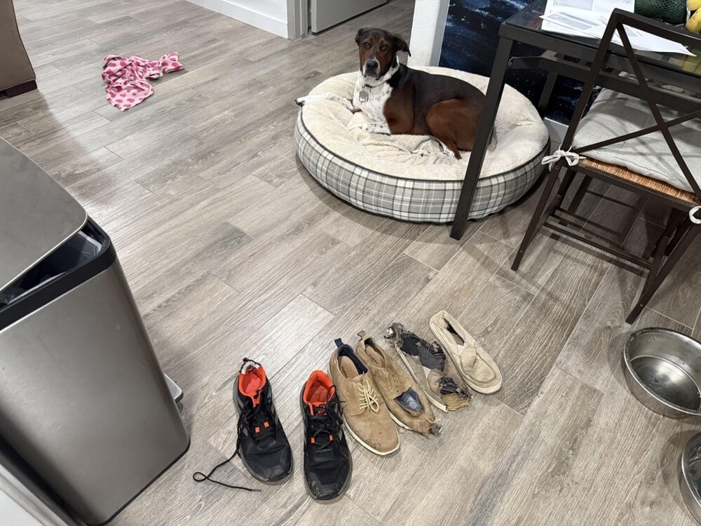 30 очаровательных пакостников, которые знают толк в дизайне и перепланировке
30 очаровательных пакостников, которые знают толк в дизайне и перепланировке