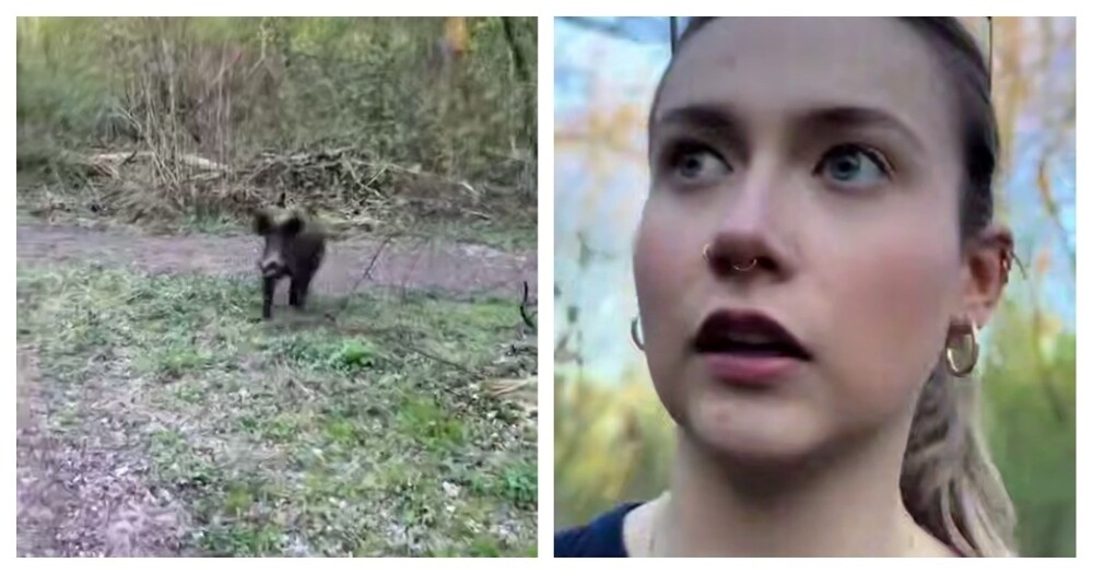 
        Реакция польской девушки на&nbsp;кабана    