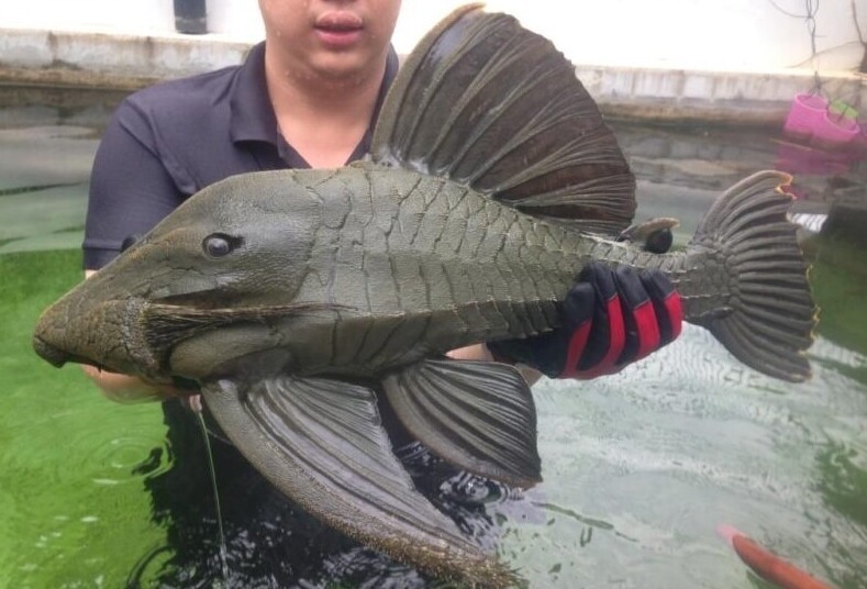 
        Фотографии дикой природы, которые могут удивить любого    