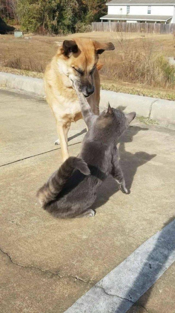 Подборка прикольных фото №3919