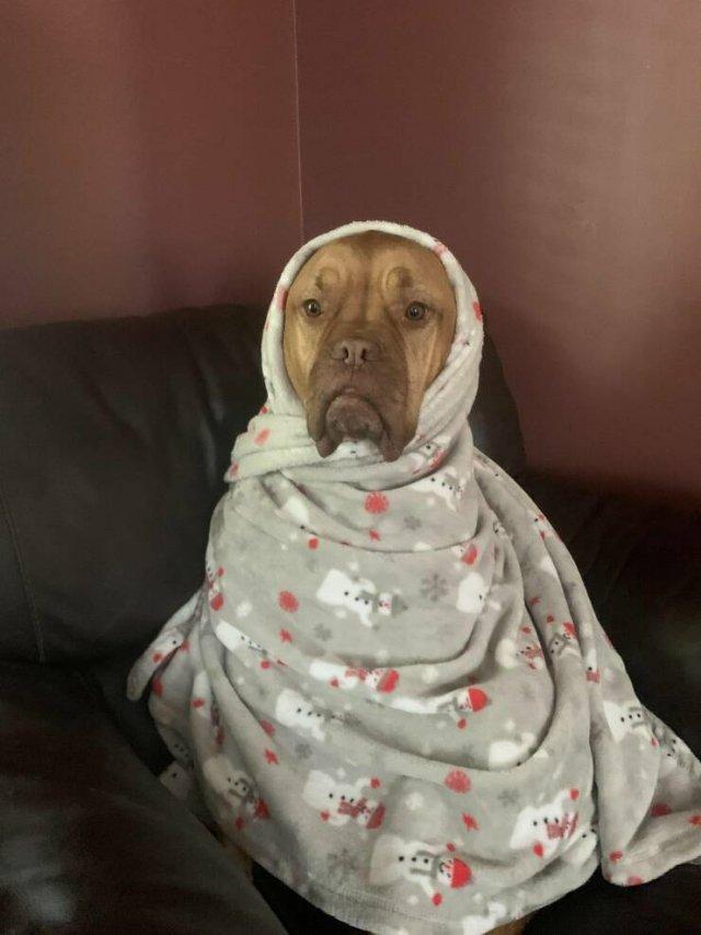 Подборка прикольных фото №3919