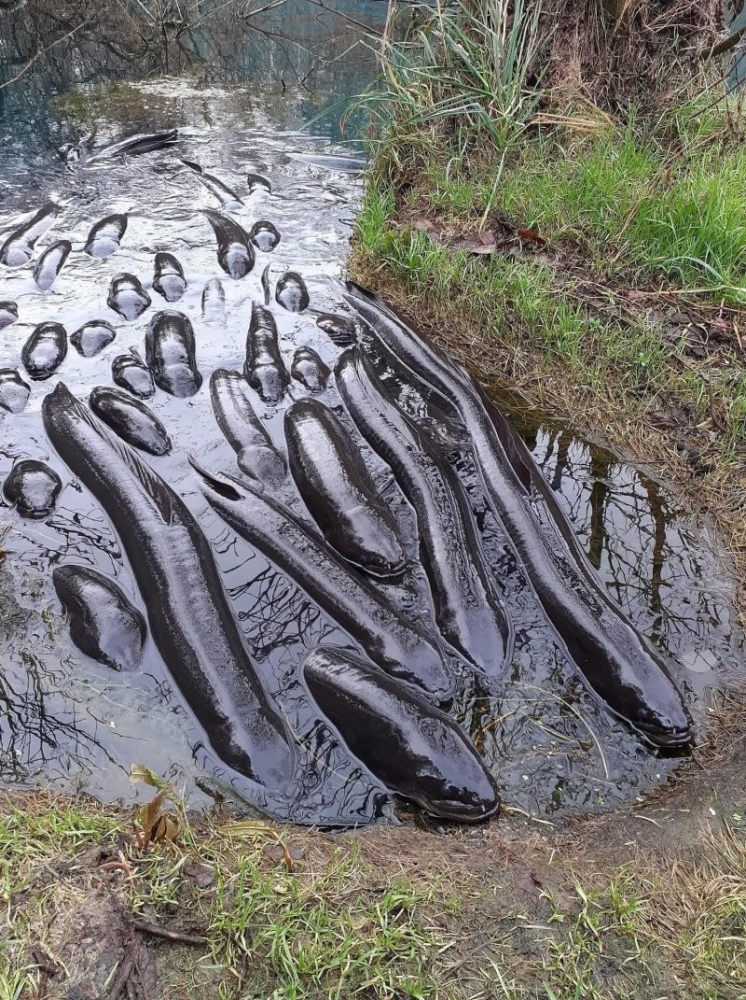 
        23&nbsp;веских причины заново влюбиться в&nbsp;эту&nbsp;планету    