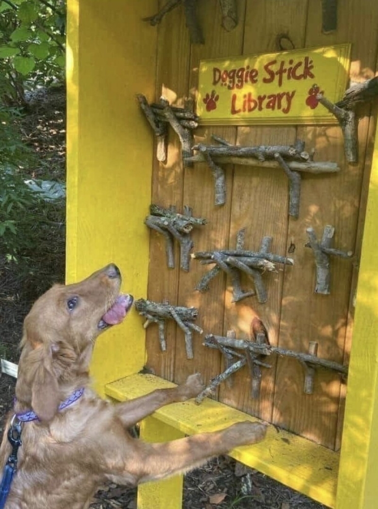 20+ моделей, фотогеничности которых можно только позавидовать
20+ моделей, фотогеничности которых можно только позавидовать