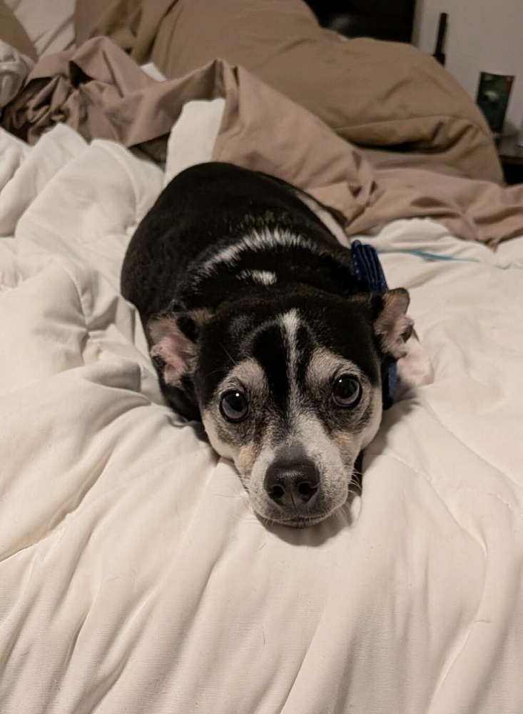 30 очаровательных пакостников, которые знают толк в дизайне и перепланировке
30 очаровательных пакостников, которые знают толк в дизайне и перепланировке