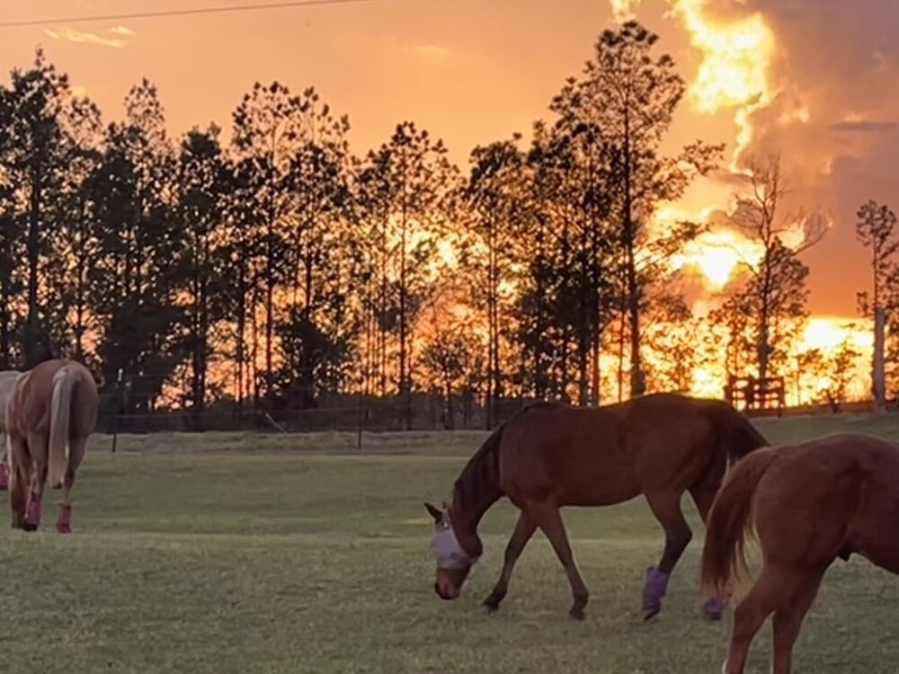 20 примеров обычной реальности, трансформирующейся в иллюзию
20 примеров обычной реальности, трансформирующейся в иллюзию