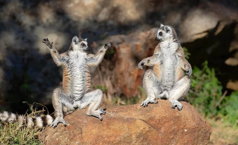 25 фотографий, после просмотра которых захочется купить палатку и уехать в лес
25 фотографий, после просмотра которых захочется купить палатку и уехать в лес