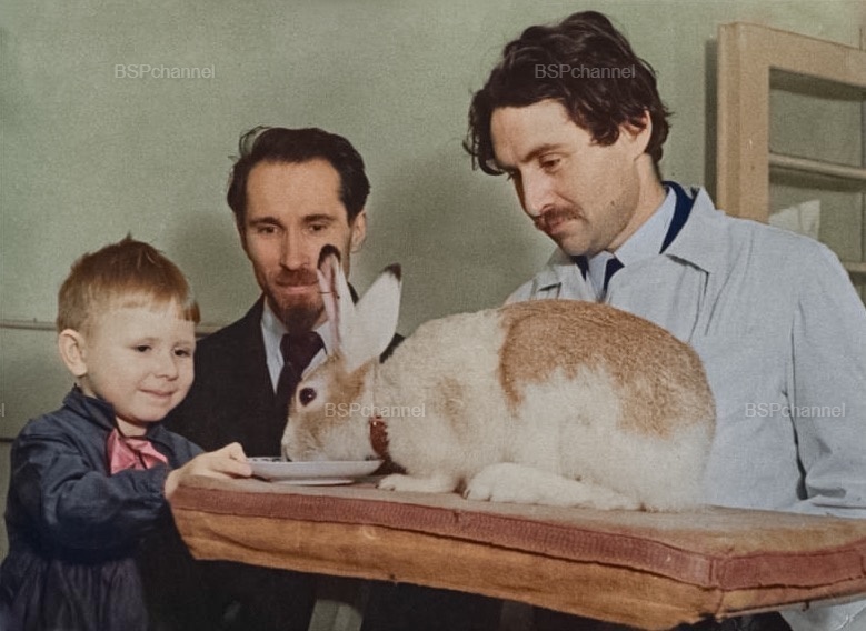 Удивительные и забавные фотографии с животными
Удивительные и забавные фотографии с животными