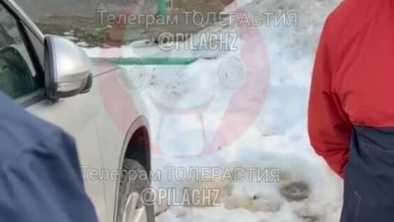 
        Мужчина выбил телефон из&nbsp;рук&nbsp;женщины    