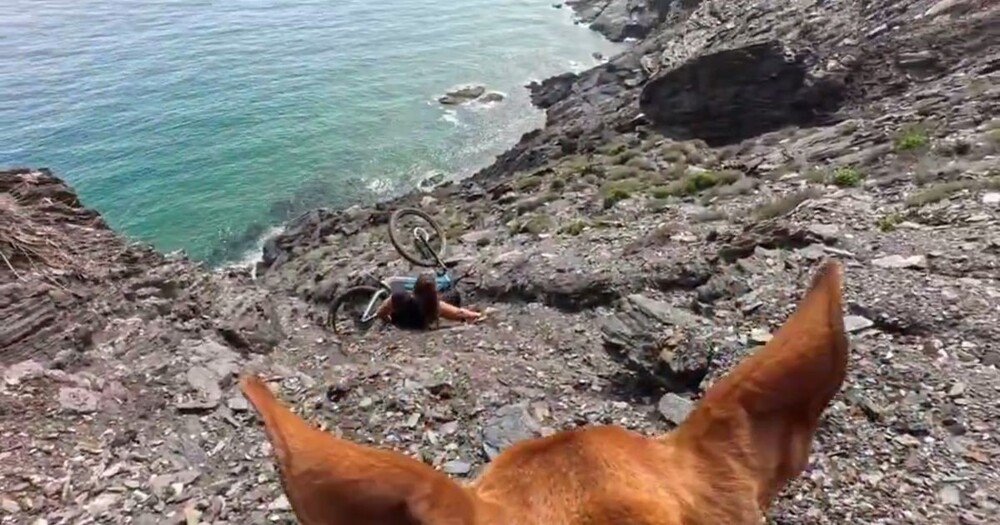 
        Падение велосипедистки, снятое с&nbsp;необычного ракурса    