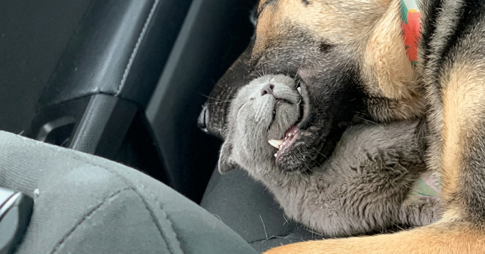 
        Тихий и&nbsp;спокойный сон    