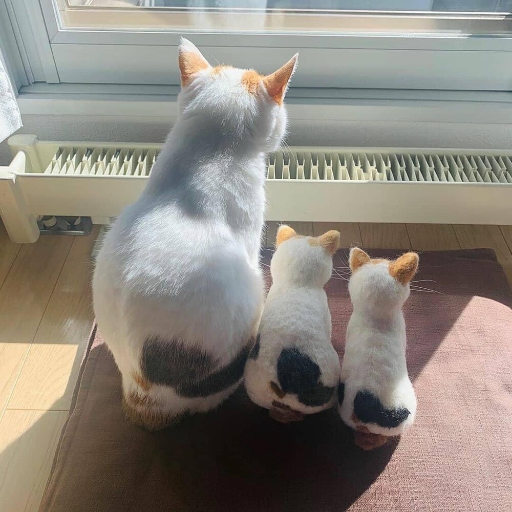 20+ моделей, фотогеничности которых можно только позавидовать
20+ моделей, фотогеничности которых можно только позавидовать