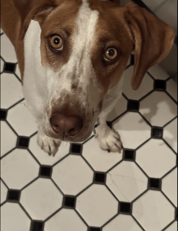 
        25&nbsp;фотороботов прелестных подозреваемых в&nbsp;совершении преступлений по&nbsp;уничтожению домашнего порядка    