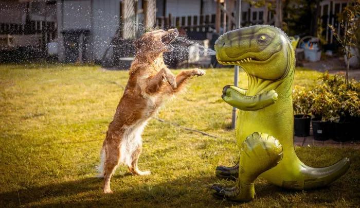 Подборка прикольных фото №3905