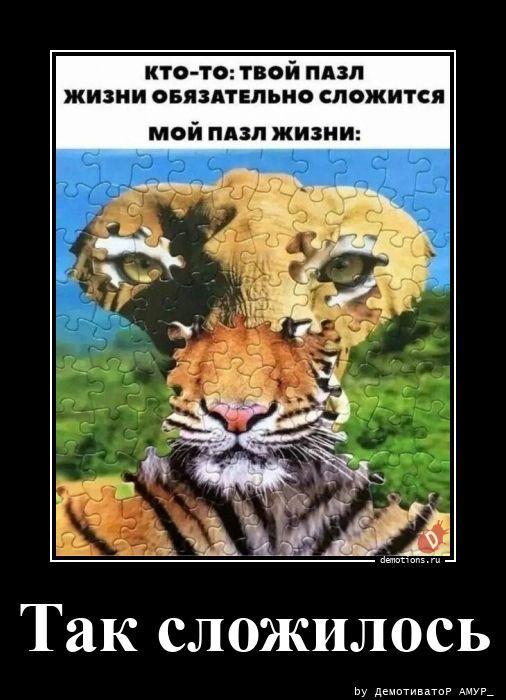 
			Демотиваторы №3790 (20 фото)