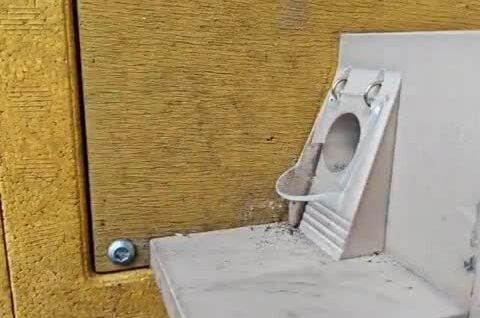 Обучение королевы шмелей
Обучение королевы шмелей