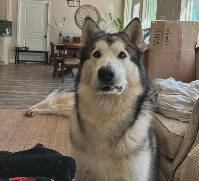 20 моментов, демонстрирующих шутки реальности
20 моментов, демонстрирующих шутки реальности