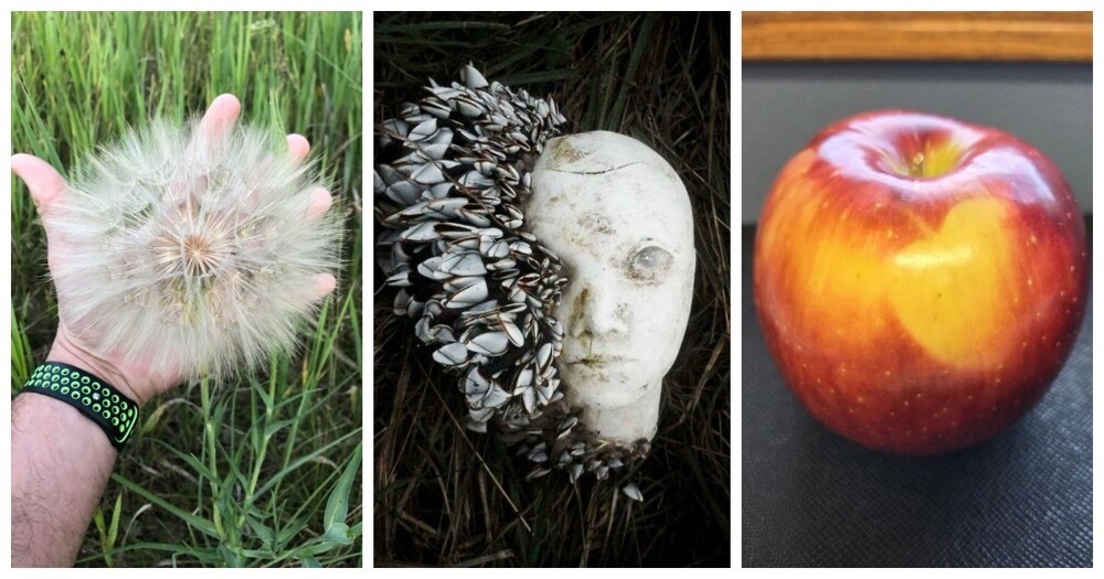 
        30&nbsp;кадров, которые заставят вас&nbsp;протереть глаза    