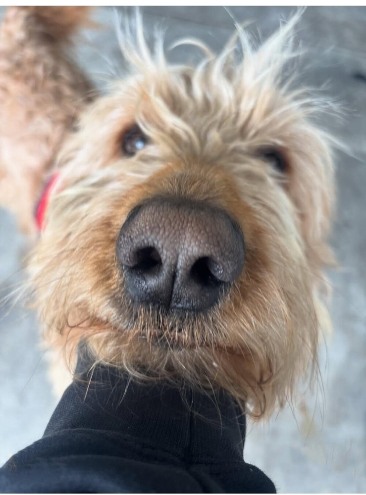 20 примеров обычной реальности, трансформирующейся в иллюзию
20 примеров обычной реальности, трансформирующейся в иллюзию